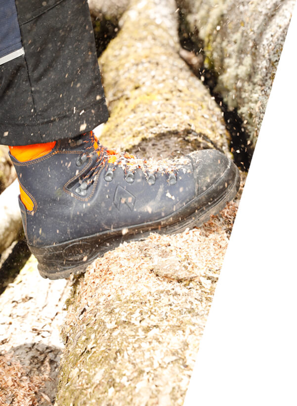 Zaagschoenen Kox-editie 