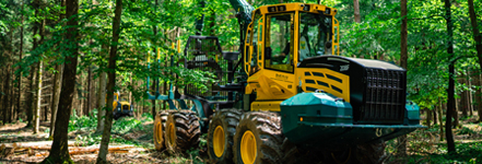 Grote geel-groene bosbouwmachine met grijparm staat op een houttransportpad in het bos; omringd door bomen, tweede voertuig op de achtergrond zichtbaar.