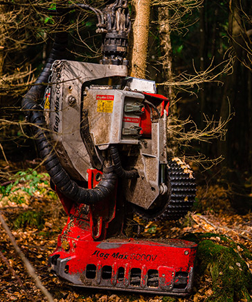 Harvesterkop Log Max 5000V in gebruik op een staande boomstam in de bosbouw.
