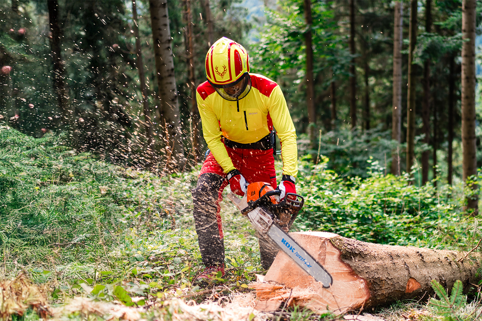 Een bosarbeider in geel-rode beschermkleding zaagt met een kettingzaag een liggende boomstam door in het bos.