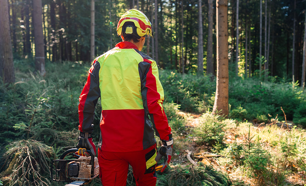 Een persoon in geel-rode beschermkleding staat met een kettingzaag in het bos.