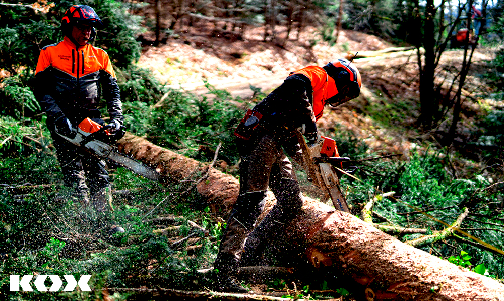 Tipp Sicherheit im Umgang mit Kettens�gen