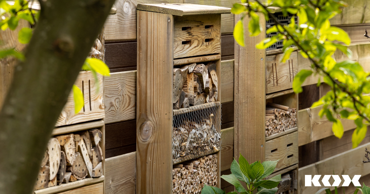 Naturschutz im Garten