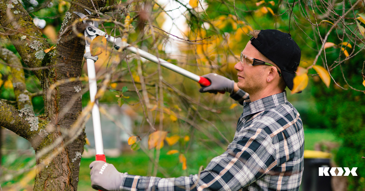 Felco tuinscharen direct vergeleken